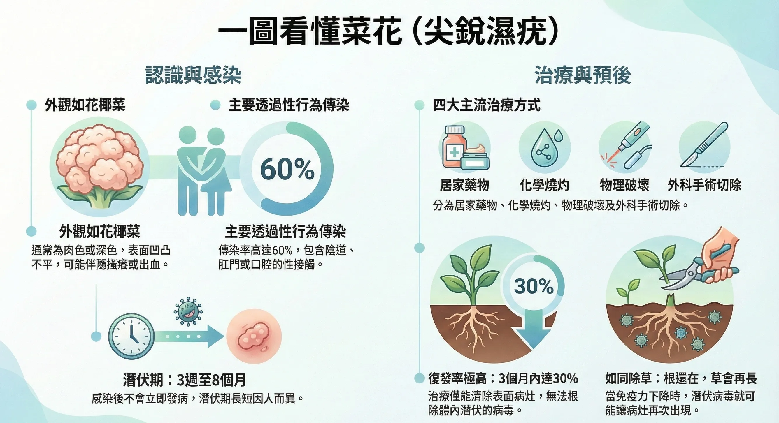 關於菜花你需要知道的四個真相